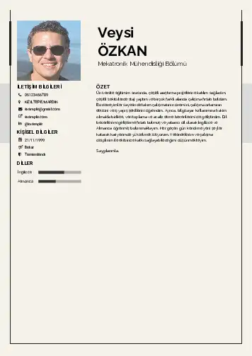 Mekatronik Mühendisliği Cv Örnekleri cv indir